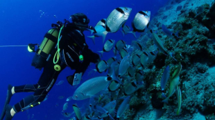 Συνεργασία Δήμου κι Επιμελητηρίου για την ανάπτυξη καταδυτικού Τουρισμού